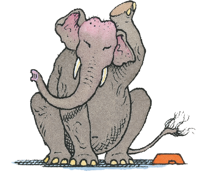 Ilustração do livro